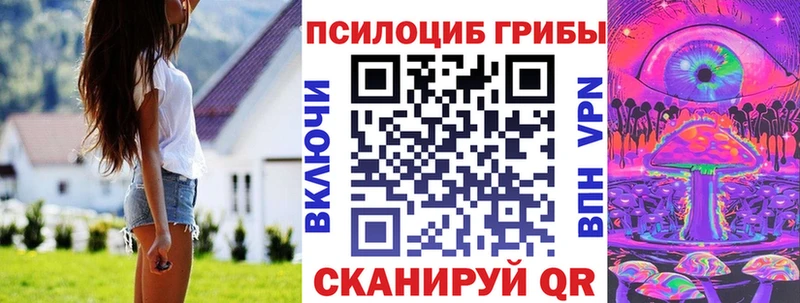 OMG tor как найти Вятские Поляны Псилоцибиновые грибы MAGIC MUSHROOMS