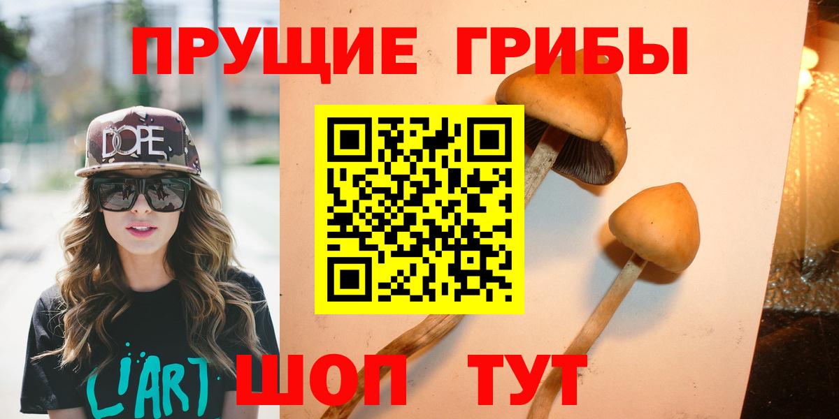 Галлюциногенные грибы мицелий  Вход с VPN  Вятские Поляны 