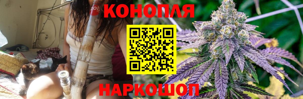 Вятские Поляны  Марихуана конопля  Марихуана семена  Бошки марихуана план  Вход с VPN 